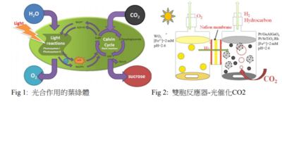 新型雙胞反應器行光催化還原CO2摹擬光合作用： 李韋萱